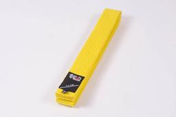 Photo https://static.kintayo.com/images/ippon/p/belt/yellow.jpg