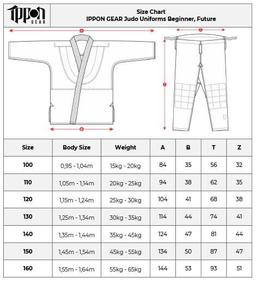 Photo https://static.kintayo.com/images/ippon/p/kimono_dlya_divchat/6.jpg